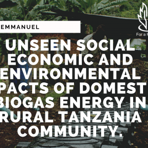 UNSEEN SOCIAL ECONOMIC AND ENVIRONMENTAL IMPACTS OF DOMESTIC BIOGAS ENERGY IN RURAL TANZANIA COMMUNITY.