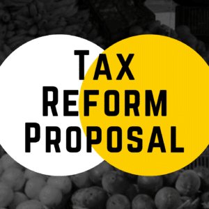 Tanzania Tax Reform Proposal 2021-2022
