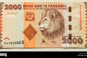 currency-of-tanzania-FTPAT0