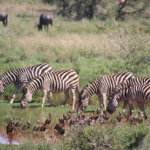Africa’s Heritage Needs Technology to Thrive in the Era of Sustainable Tourism